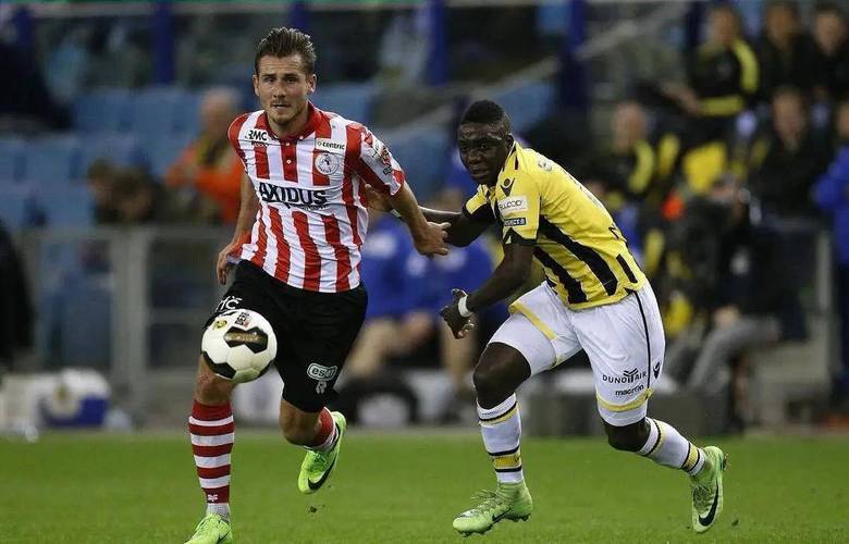 环境优势 环境优势