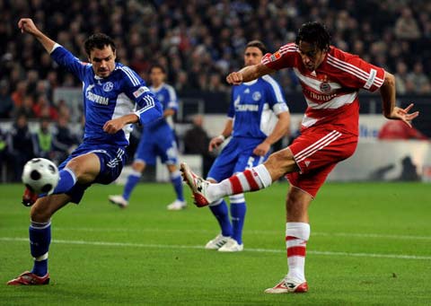 将绽放出更 将绽放出更